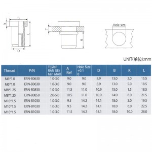 Hissar Flat Head Rivet nötter