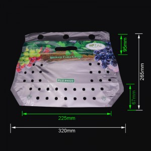 Miljöväntryckt ziplockförpackningspåse med druvfrukt med ventilationshål