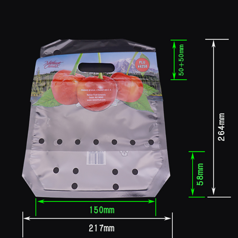 Miljöväntryckt ziplockförpackningspåse med druvfrukt med ventilationshål