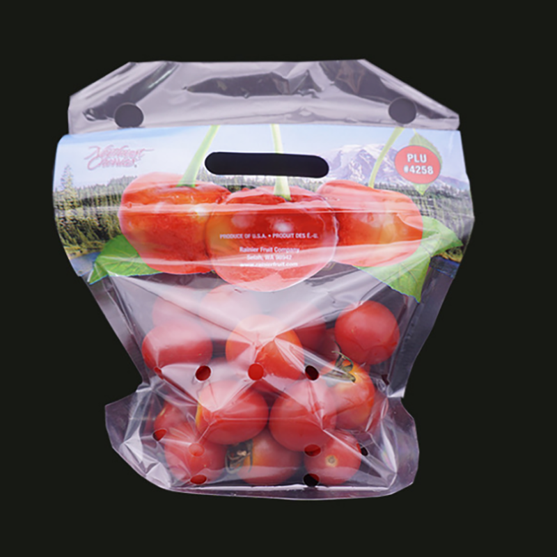 Eco-vän klar plastgrönsaks ziplock förpackningspåse med ventilationshål
