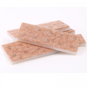 Sterila akupunkturpressnålar