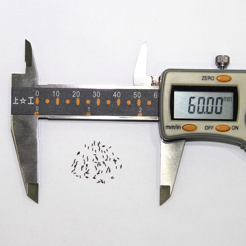Leverantör av Precise Tiny Magnet från Shenzhen Autometer Sällsynt jordmagnet