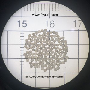 2019 Kina tillverkare Micro Precision Small SmCo Ring Magnet