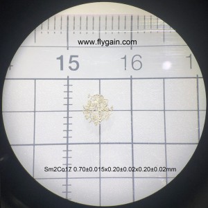 Smco tillverkare super liten precision mikro magnet