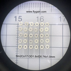 Kina tillverkare Micro Precision liten magnet för motor