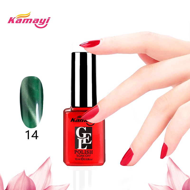 Kamayi professionell OEM charm kattögon spik lim 12ml