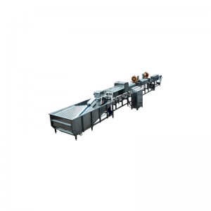 WX150 maskin för tvättning av ägg