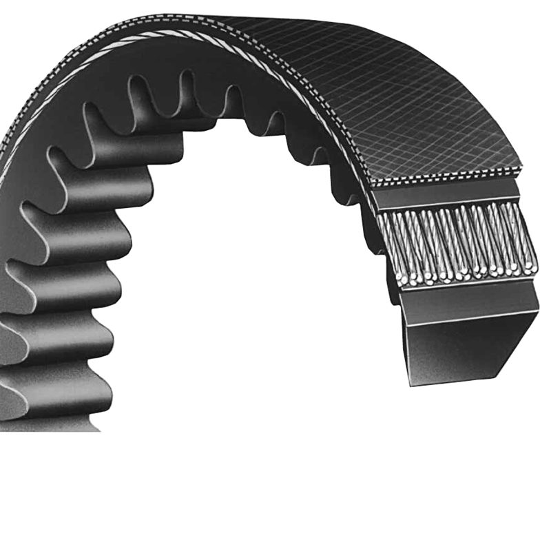 OFT Raw Edged Cogged Rubber V Belt