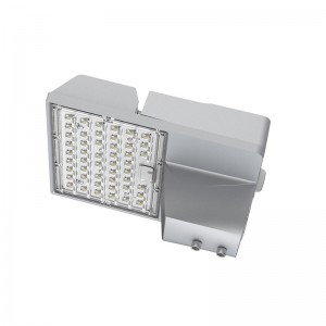 80W 100W Galaxy LED Street light