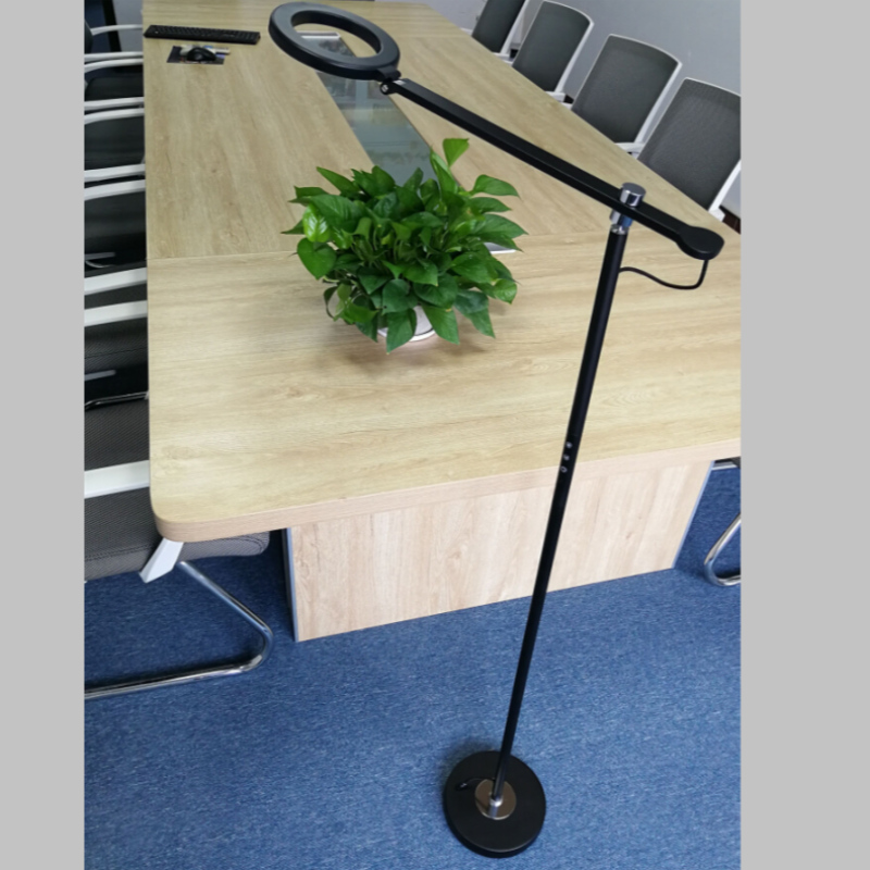 6886 Levande Rum Metal Standing Lighting Standard Lyd Floor Lampa för Hem, Hotell