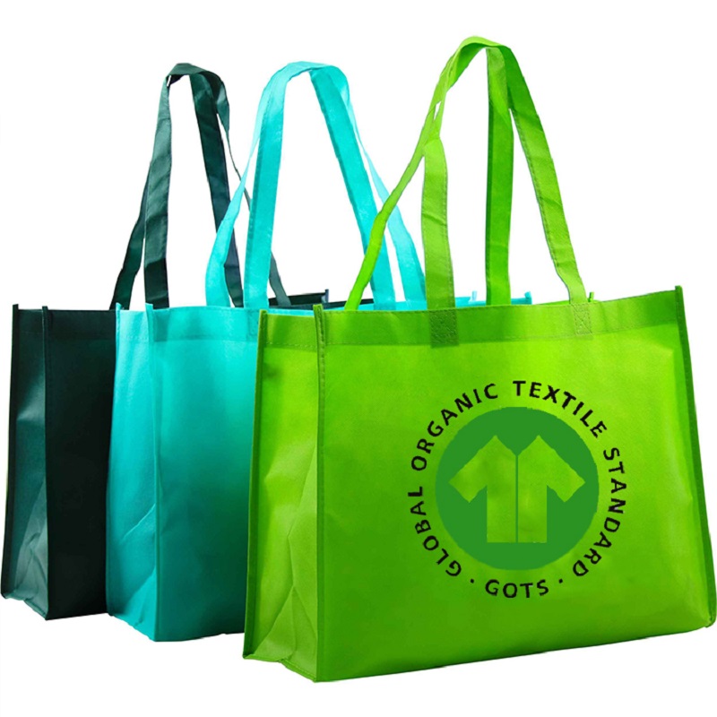 SG66 Environmental Friendly Shopping Bag Egen Printing Standard Size Cotton Tote Bags