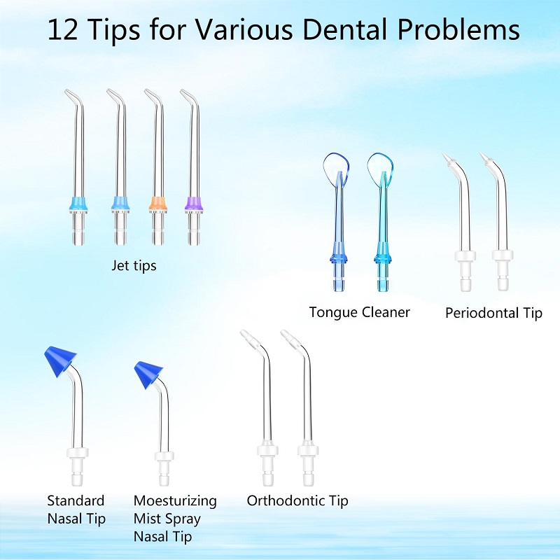 H2ofloss Dental Water Flosser för rengöring av tänder med 12 multifunktionella tips och 800 ml, professionell bänkskiva Oral Irrigator Tyst design