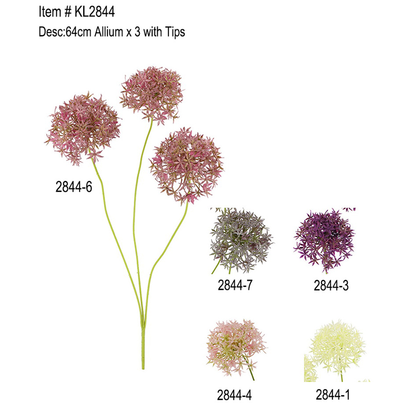 64cm Allium x 3 med Tips