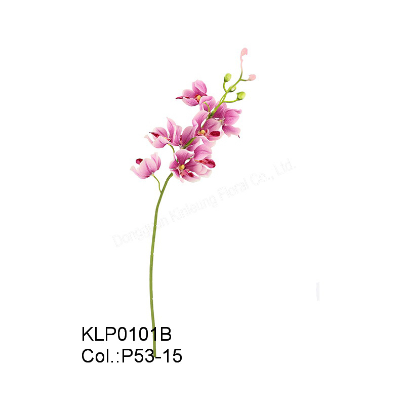 19/49cm Mokara Orchid Spray