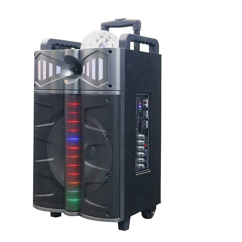 Trollryhögtalare Y-DJ1201-12H