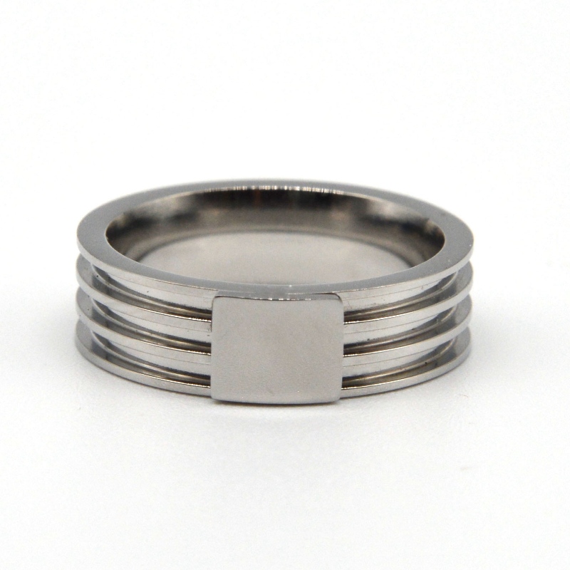 Ringen av rostfritt stål rfbrg1109