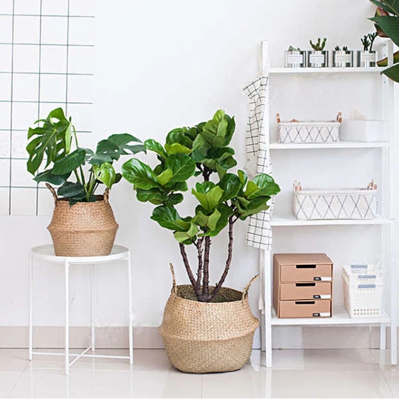 Heminredning blomkruka stativ oval hängande lagringskorg för sjögräs