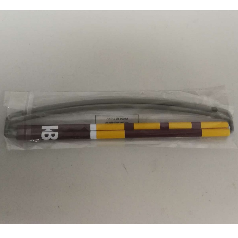 Eget Logo Hand Held Roller Banner- Redskins 24x68CM