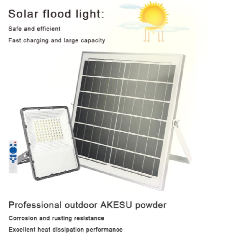 IP65 20W 30W 50W 100W Ledd Solar Flood Light med borttagningskontroll