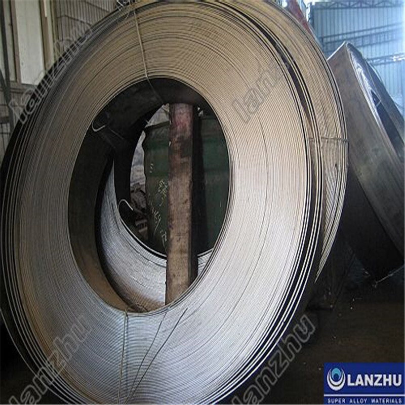 Hastelloy®c-276 gjutning, ventilkropp (UNS N10276, W.NR.2.4819, Nickel AlloyC-276)