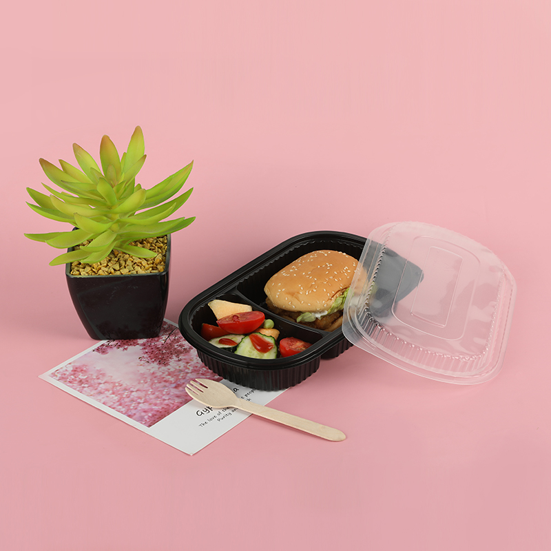 Lunchbox 520A