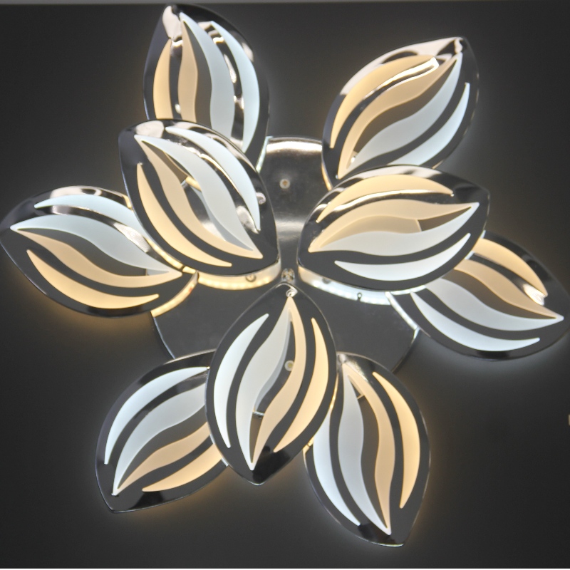 AC801 Ceiling Light