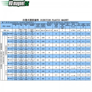 Injektionsplastmagnet