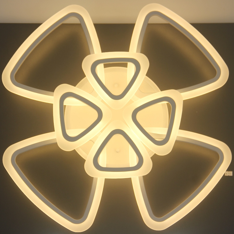 AC816 Ceiling Light