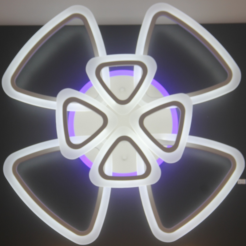 AC816 Ceiling Light