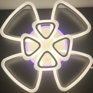 AC816 Ceiling Light