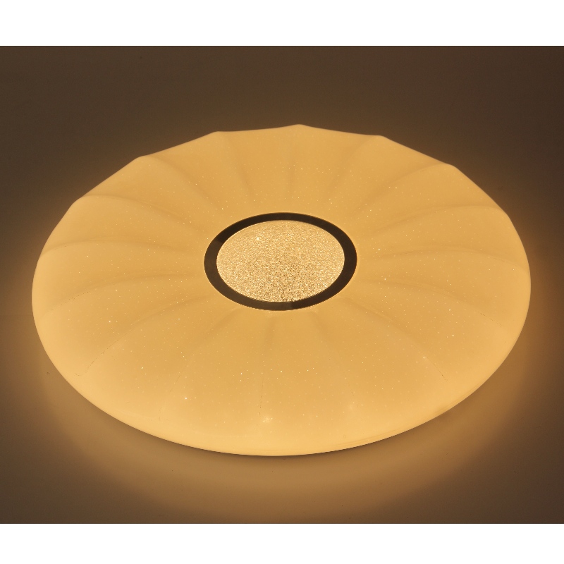 CX205 Taklampa