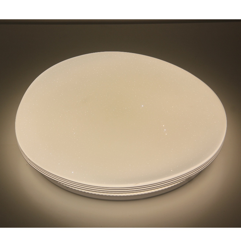 CX208 Ceiling Light