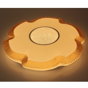 CX214 Ceiling Light