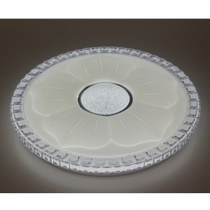 CX220 Ceiling Light