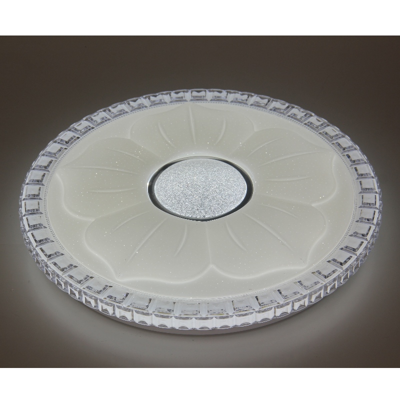 CX220 Ceiling Light