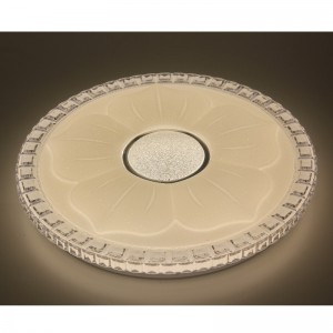 CX220 Ceiling Light