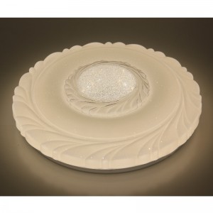 CX221 Ceiling Light