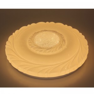CX221 Ceiling Light