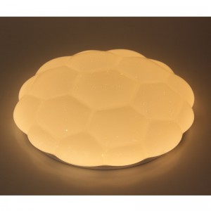 CX222 Ceiling Light
