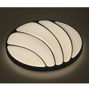 CX225 Ceiling Light