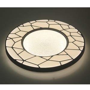 CX226 Ceiling Light