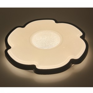 CX228 Ceiling Light