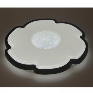 CX228 Ceiling Light