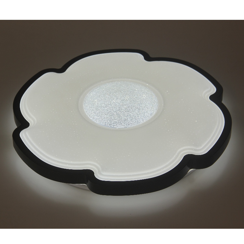 CX228 Ceiling Light
