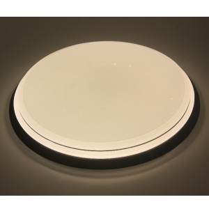 CX230 Ceiling Light