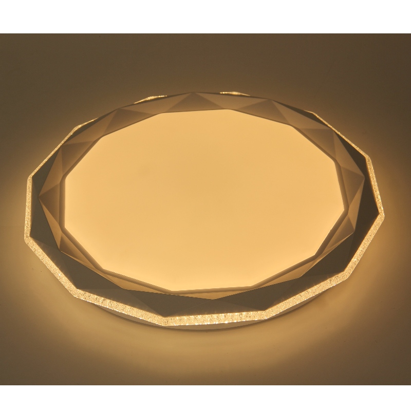 CX232 Ceiling Light