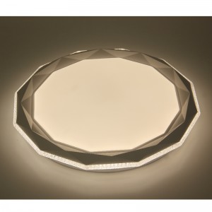 CX232 Ceiling Light