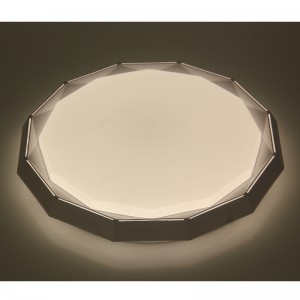 CX235 Ceiling Light