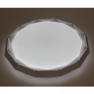 CX235 Ceiling Light
