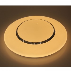 CX237 Ceiling Light